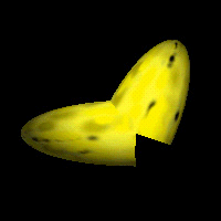 Blended banana image