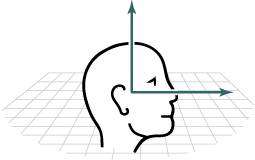 Listener vectors 